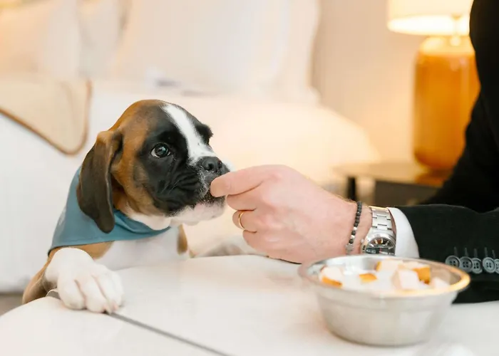 Sofitel Le Scribe Paris OperaHotel Stelle